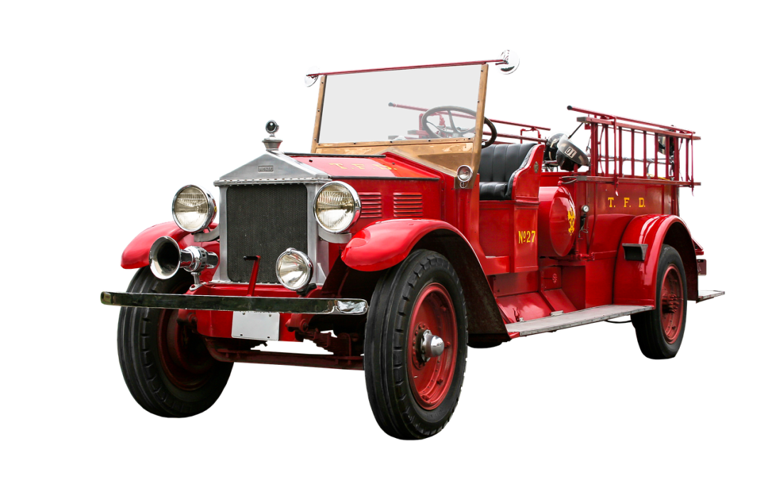 Evakuasi Ular di Alun-Alun